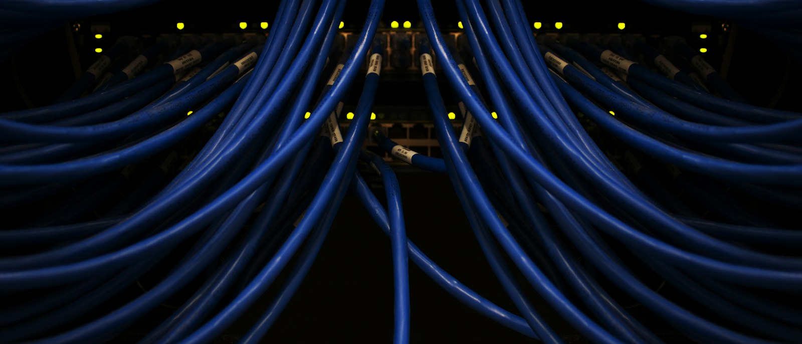 Rows of blue network cables plugged into a patch panel